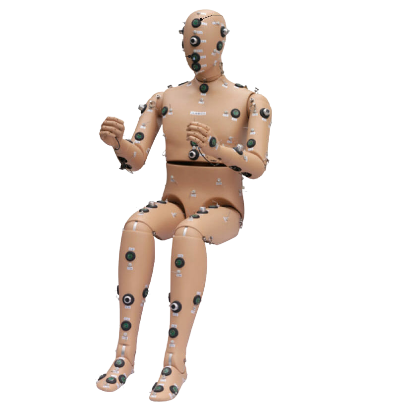 Amenity Manikin System