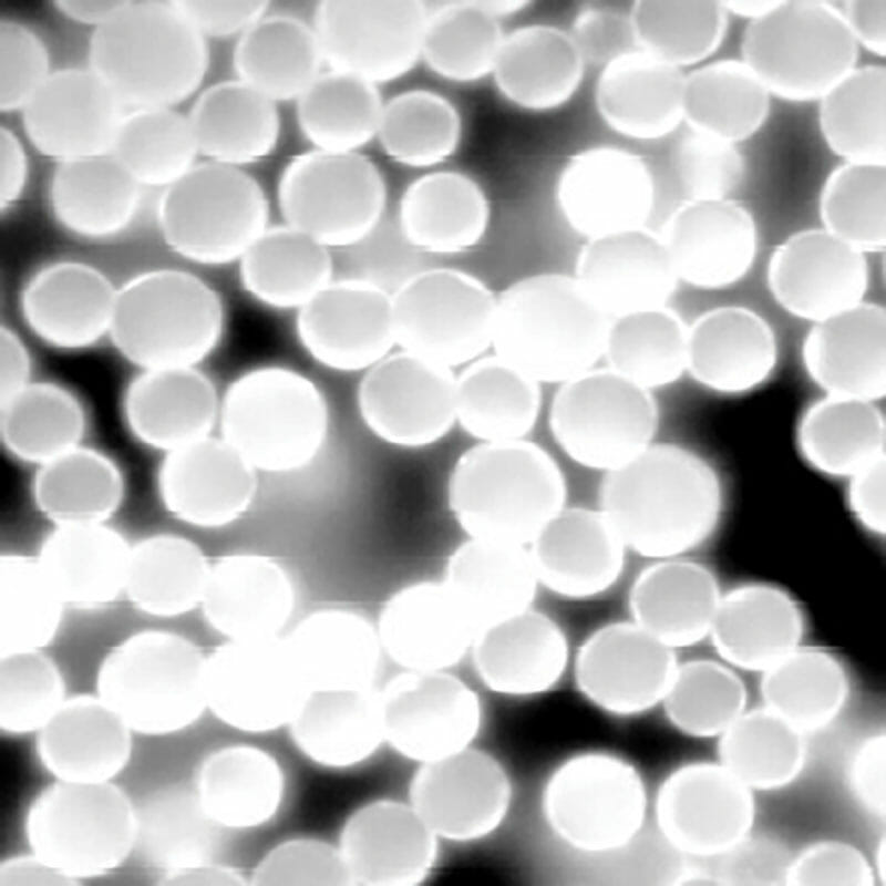 Fluostar Fluorescent Particles